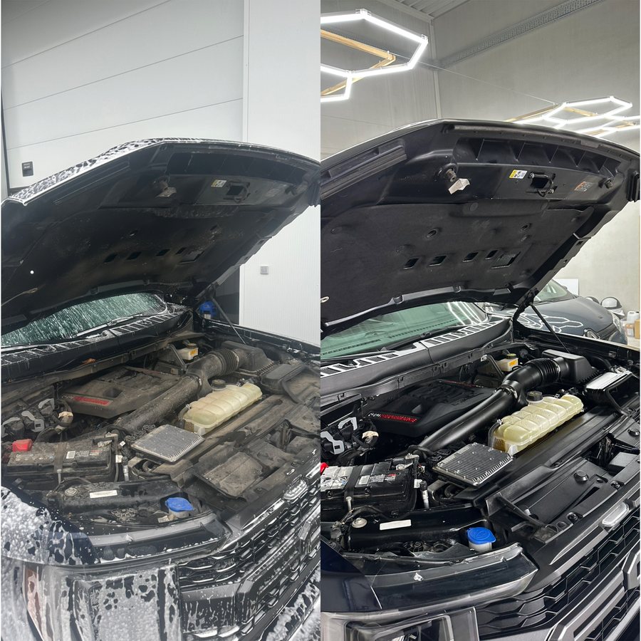 Engine bay, degreased and dressed